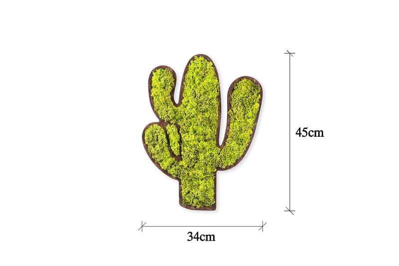 Cactus Canvasbilde - Grønn/Hvit - Innredning - Bilder & kunst - Lerretsbilder