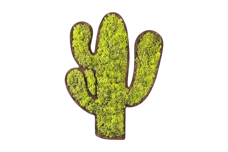 Cactus Canvasbilde, Grønn/Hvit