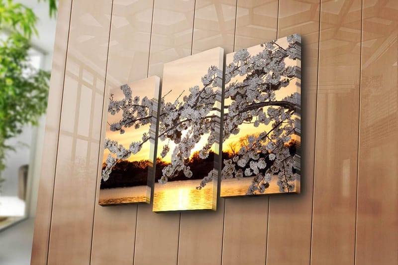 Canvasbilde 3-pk flerfarget - 22x03 cm - Innredning - Bilder & kunst - Lerretsbilder