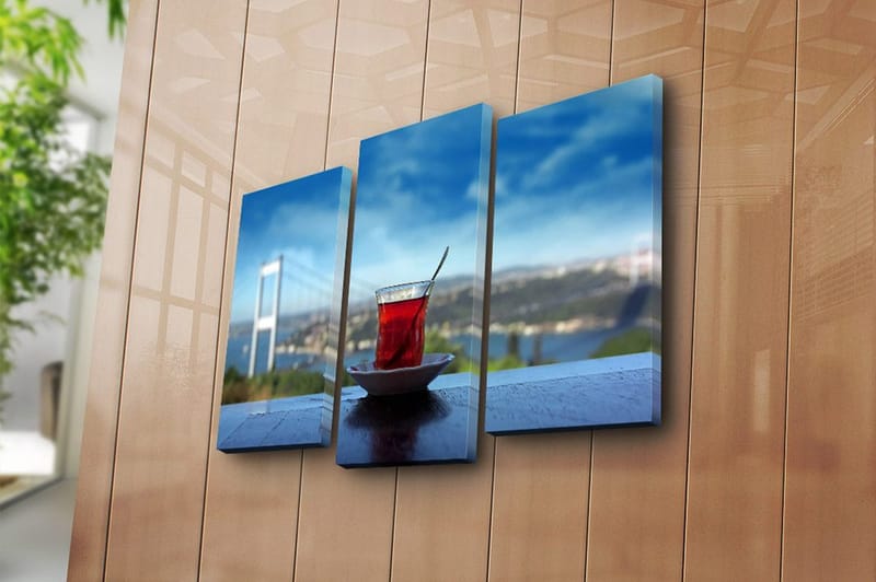 Canvasbilde 3-pk flerfarget - 22x03 cm - Innredning - Bilder & kunst - Lerretsbilder