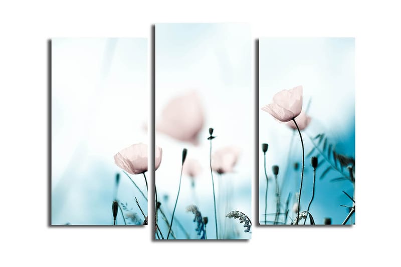 Canvasbilde 3-pk flerfarget - 22x03 cm - Innredning - Bilder & kunst - Lerretsbilder