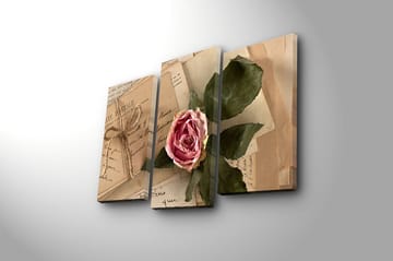 Canvasbilde 3-pk flerfarget - 22x03 cm - Innredning - Bilder & kunst - Lerretsbilder