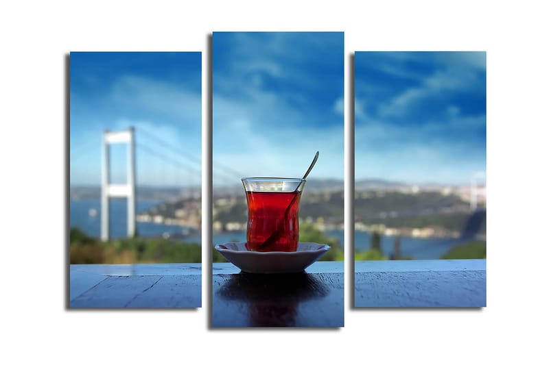Canvasbilde 3-pk flerfarget - 22x03 cm - Innredning - Bilder & kunst - Lerretsbilder