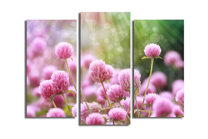 Canvasbilde 3-pk flerfarget - 22x03 cm - Innredning - Bilder & kunst - Lerretsbilder