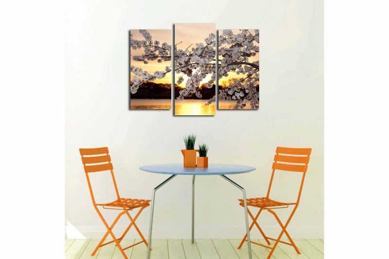 Canvasbilde 3-pk flerfarget - 22x03 cm - Innredning - Bilder & kunst - Lerretsbilder