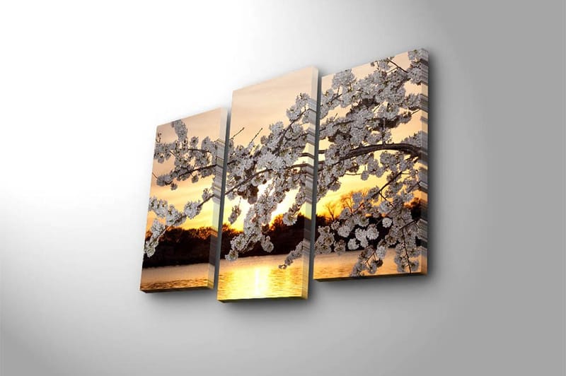 Canvasbilde 3-pk flerfarget - 22x03 cm - Innredning - Bilder & kunst - Lerretsbilder