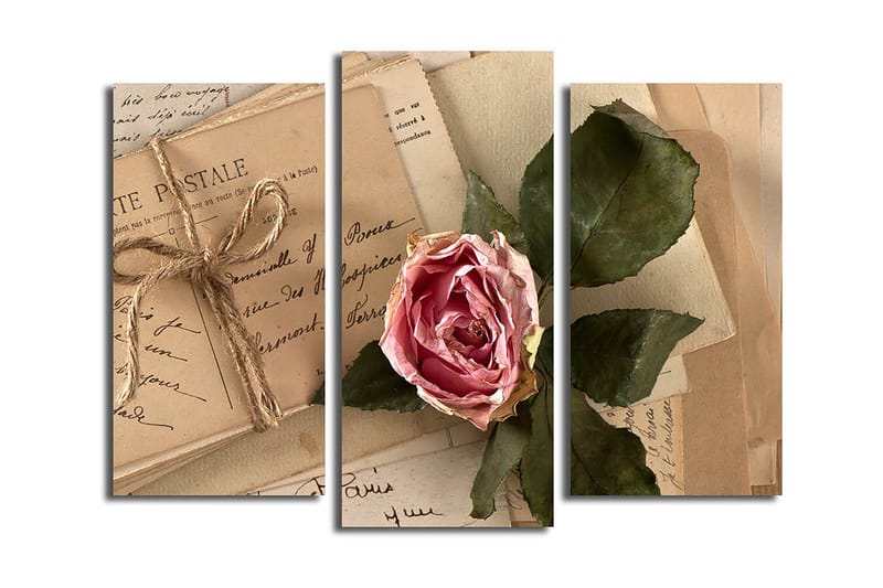 Canvasbilde 3-pk flerfarget, 22x03 cm