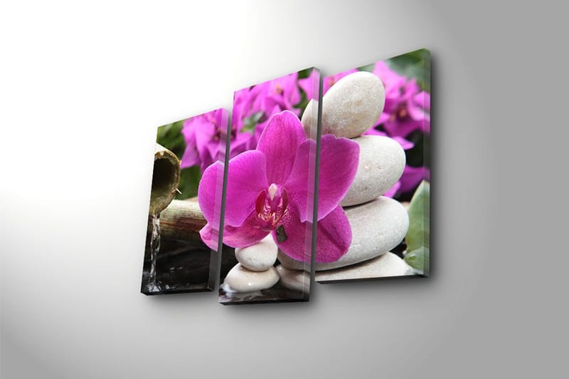Canvasbilde 3-pk flerfarget - 22x03 cm - Innredning - Bilder & kunst - Lerretsbilder