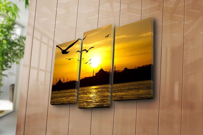Canvasbilde 3-pk flerfarget - 22x03 cm - Innredning - Bilder & kunst - Lerretsbilder