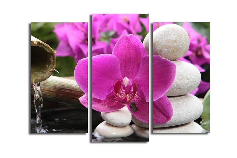 Canvasbilde 3-pk flerfarget, 22x03 cm