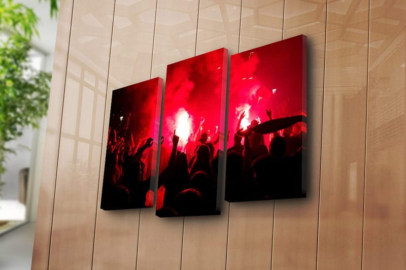 Canvasbilde 3-pk flerfarget - 22x03 cm - Innredning - Bilder & kunst - Lerretsbilder