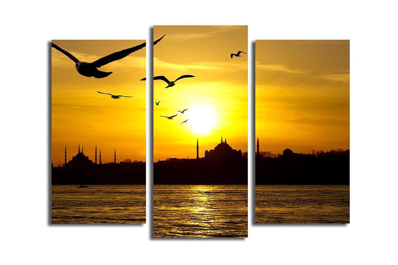 Canvasbilde 3-pk flerfarget - 22x03 cm - Innredning - Bilder & kunst - Lerretsbilder
