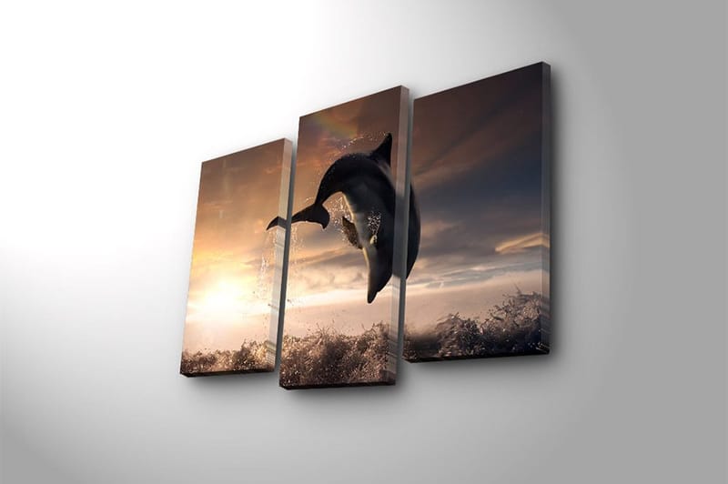 Canvasbilde 3-pk flerfarget - 22x03 cm - Innredning - Bilder & kunst - Lerretsbilder