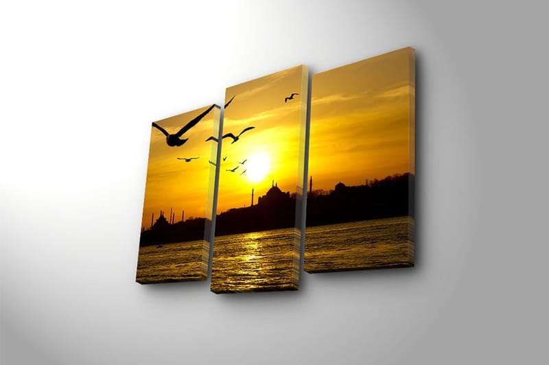 Canvasbilde 3-pk flerfarget - 22x03 cm - Innredning - Bilder & kunst - Lerretsbilder
