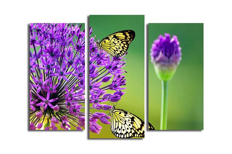 Canvasbilde 3-pk flerfarget - 22x03 cm - Innredning - Bilder & kunst - Lerretsbilder
