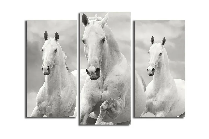 Canvasbilde 3-pk flerfarget, 22x03 cm