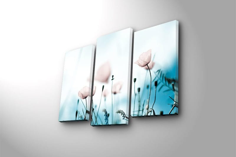 Canvasbilde 3-pk flerfarget - 22x03 cm - Innredning - Bilder & kunst - Lerretsbilder