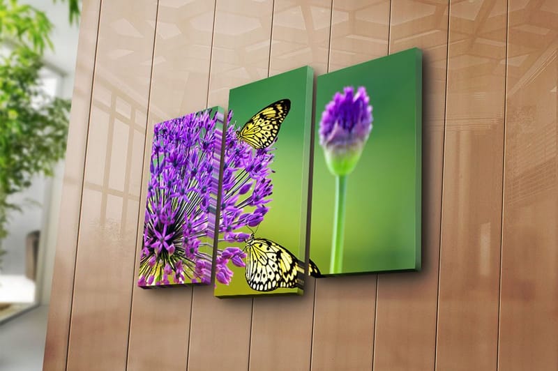 Canvasbilde 3-pk flerfarget - 22x03 cm - Innredning - Bilder & kunst - Lerretsbilder