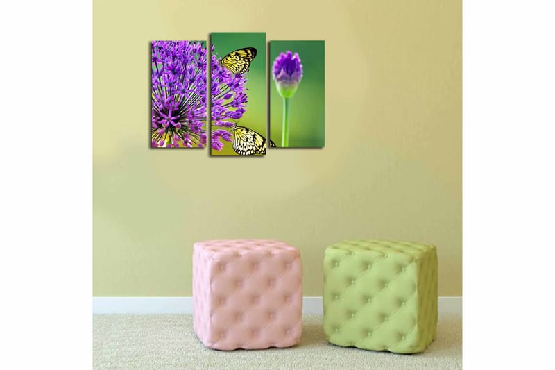 Canvasbilde 3-pk flerfarget - 22x03 cm - Innredning - Bilder & kunst - Lerretsbilder