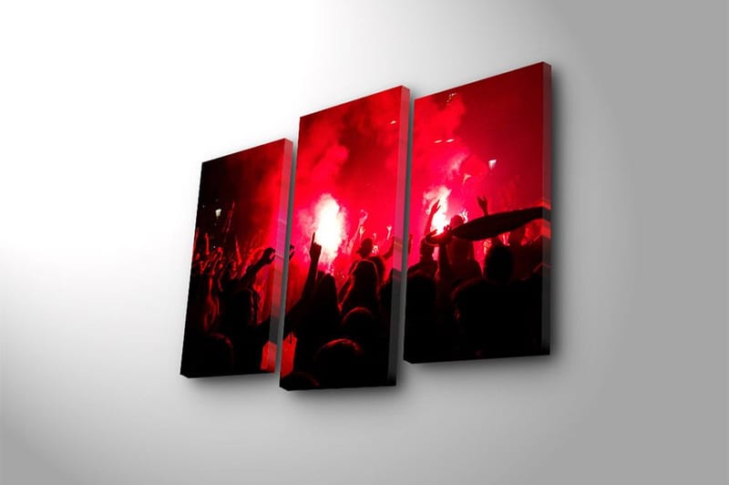 Canvasbilde 3-pk flerfarget - 22x03 cm - Innredning - Bilder & kunst - Lerretsbilder