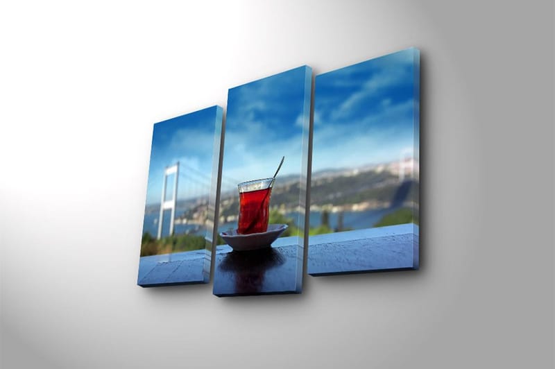 Canvasbilde 3-pk flerfarget - 22x03 cm - Innredning - Bilder & kunst - Lerretsbilder