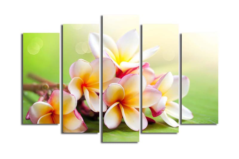 Canvasbilde 5-pk flerfarget - 11x96 cm - Innredning - Bilder & kunst - Lerretsbilder