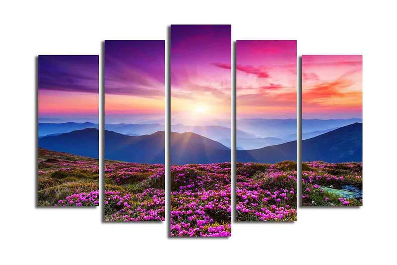 Canvasbilde 5-pk flerfarget - 11x96 cm - Innredning - Bilder & kunst - Lerretsbilder