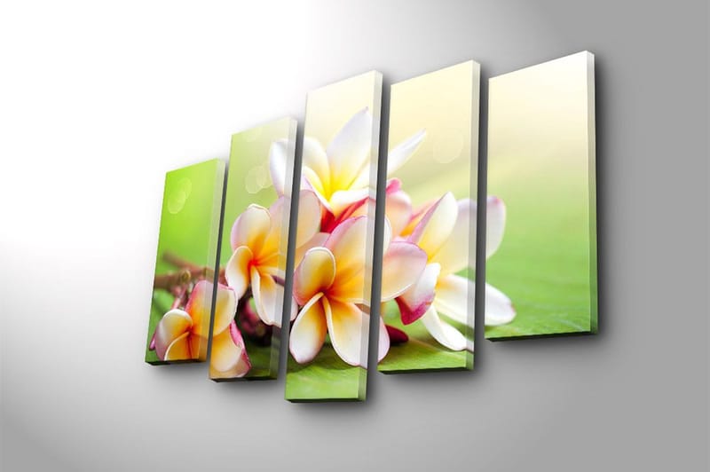 Canvasbilde 5-pk flerfarget - 11x96 cm - Innredning - Bilder & kunst - Lerretsbilder