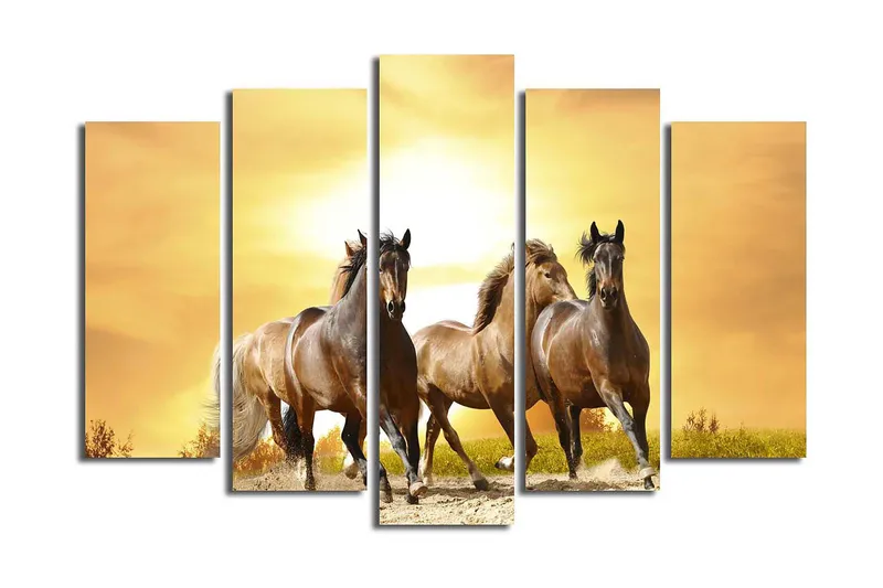 Canvasbilde 5-pk flerfarget, 11x96 cm
