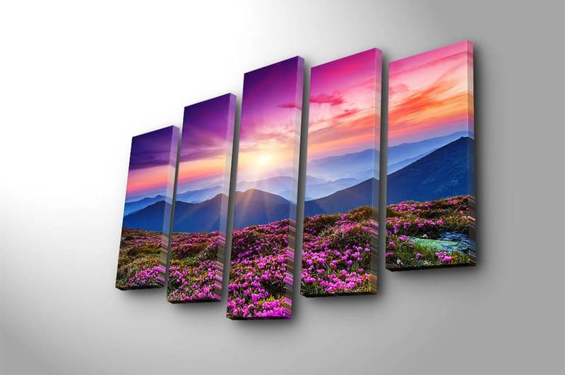 Canvasbilde 5-pk flerfarget - 11x96 cm - Innredning - Bilder & kunst - Lerretsbilder