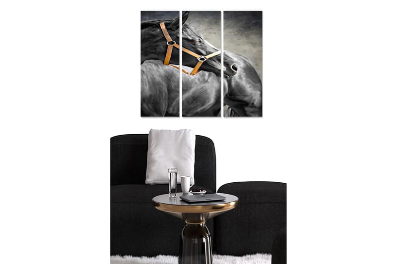 Canvasbilde Animal 3-pk flerfarget, 22x05 cm