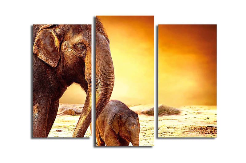 Canvasbilde Animal 3-pk flerfarget - 22x03 cm - Innredning - Bilder & kunst - Lerretsbilder
