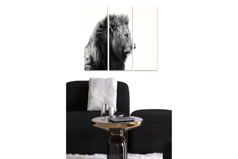 Canvasbilde Animal 3-pk flerfarget - 22x05 cm - Innredning - Bilder & kunst - Lerretsbilder