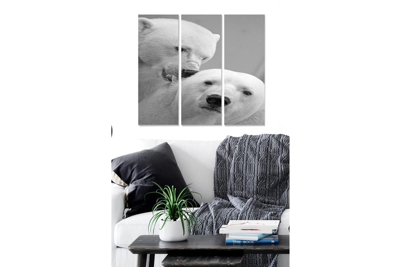Canvasbilde Animal 3-pk flerfarget - 22x05 cm - Innredning - Bilder & kunst - Lerretsbilder