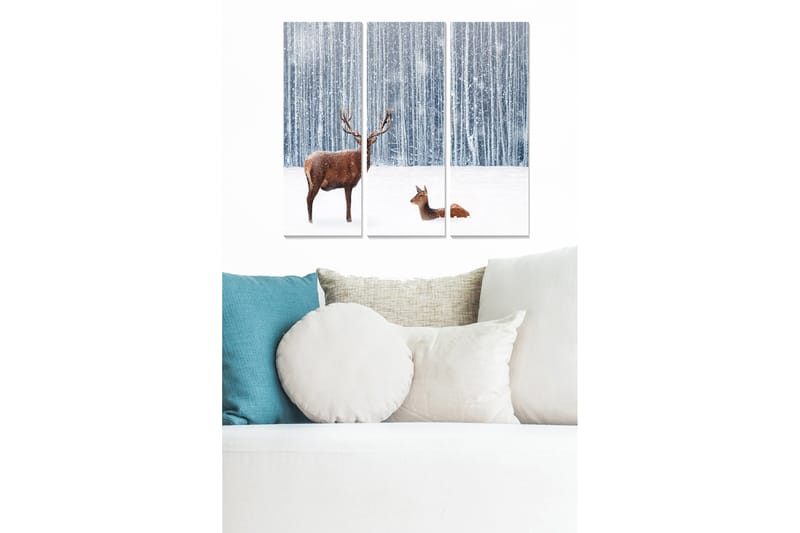 Canvasbilde Animal 3-pk flerfarget - 22x05 cm - Innredning - Bilder & kunst - Lerretsbilder