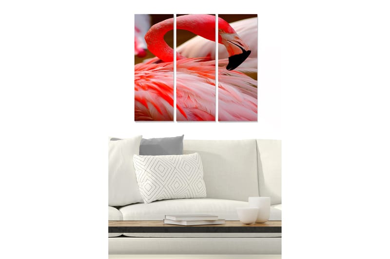 Canvasbilde Animal 3-pk flerfarget - 22x05 cm - Innredning - Bilder & kunst - Lerretsbilder