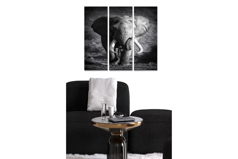 Canvasbilde Animal 3-pk flerfarget - 22x05 cm - Innredning - Bilder & kunst - Lerretsbilder