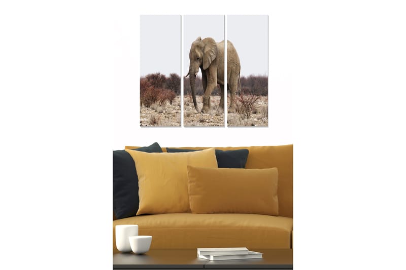 Canvasbilde Animal 3-pk flerfarget - 22x05 cm - Innredning - Bilder & kunst - Lerretsbilder