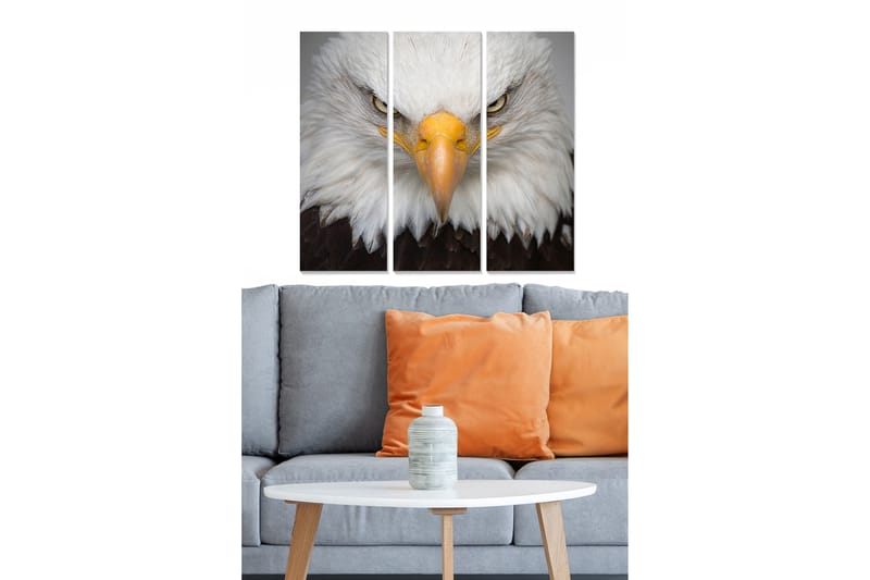 Canvasbilde Animal 3-pk flerfarget - 22x05 cm - Innredning - Bilder & kunst - Lerretsbilder
