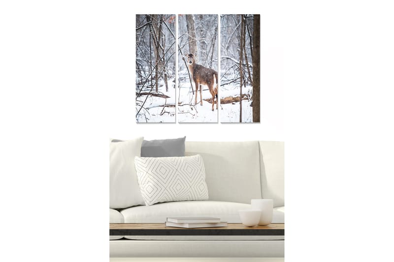 Canvasbilde Animal 3-pk flerfarget - 22x05 cm - Innredning - Bilder & kunst - Lerretsbilder