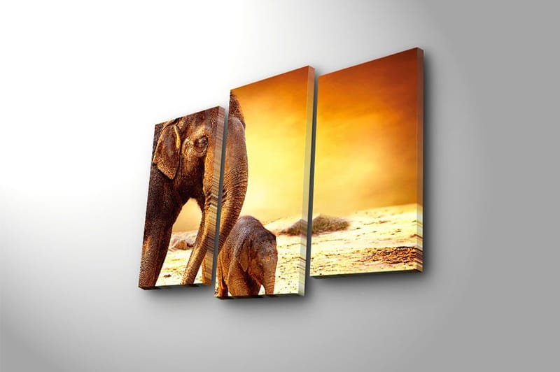 Canvasbilde Animal 3-pk flerfarget - 22x03 cm - Innredning - Bilder & kunst - Lerretsbilder
