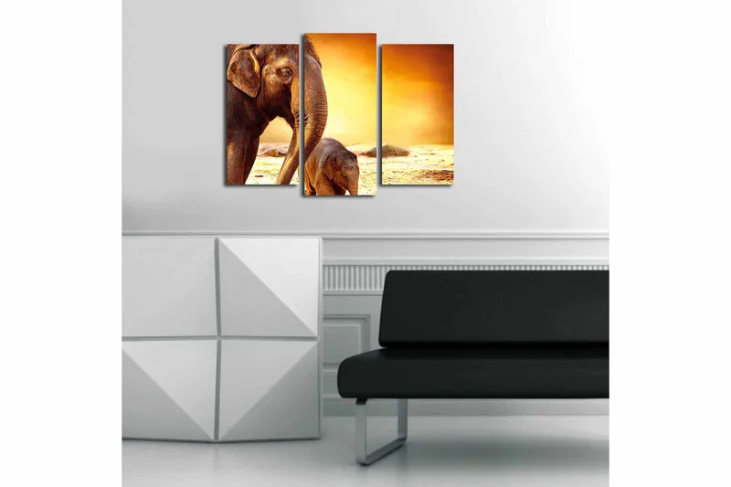 Canvasbilde Animal 3-pk flerfarget - 22x03 cm - Innredning - Bilder & kunst - Lerretsbilder