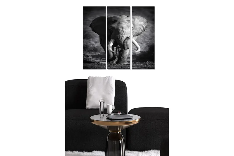 Canvasbilde Animal 3-pk flerfarget, 22x05 cm