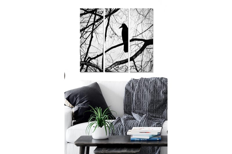 Canvasbilde Animal 3-pk flerfarget, 22x05 cm