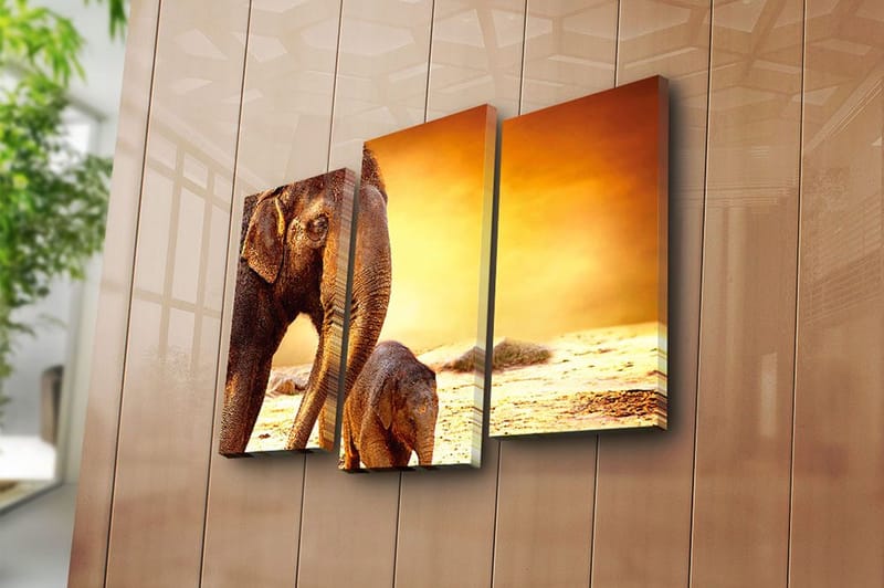 Canvasbilde Animal 3-pk flerfarget - 22x03 cm - Innredning - Bilder & kunst - Lerretsbilder