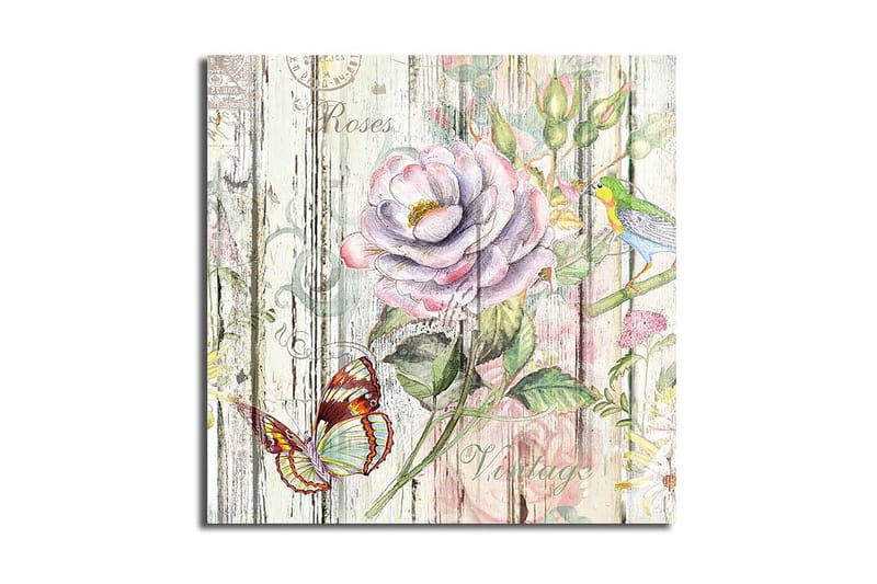 Canvasbilde Animal Flerfarget, 44x54 cm