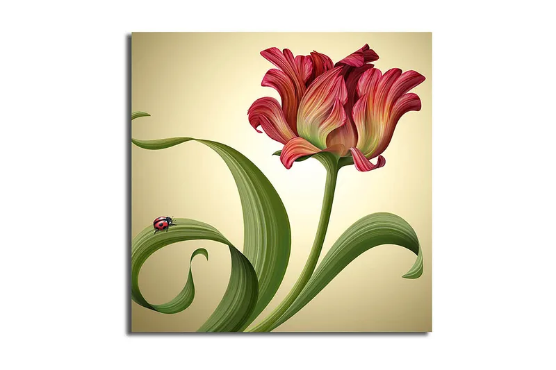 Canvasbilde Animal Flerfarget, 44x54 cm