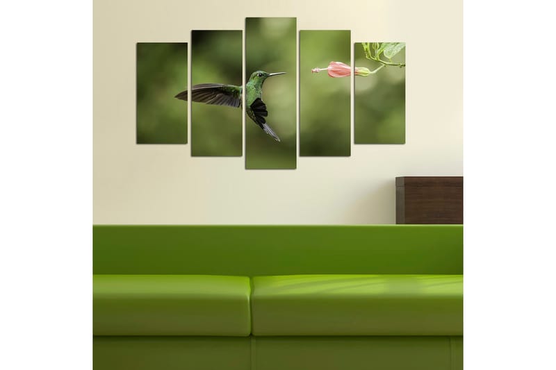 Canvasbilde Animals 5-pk Flerfarget - 22x06 cm - Innredning - Bilder & kunst - Lerretsbilder