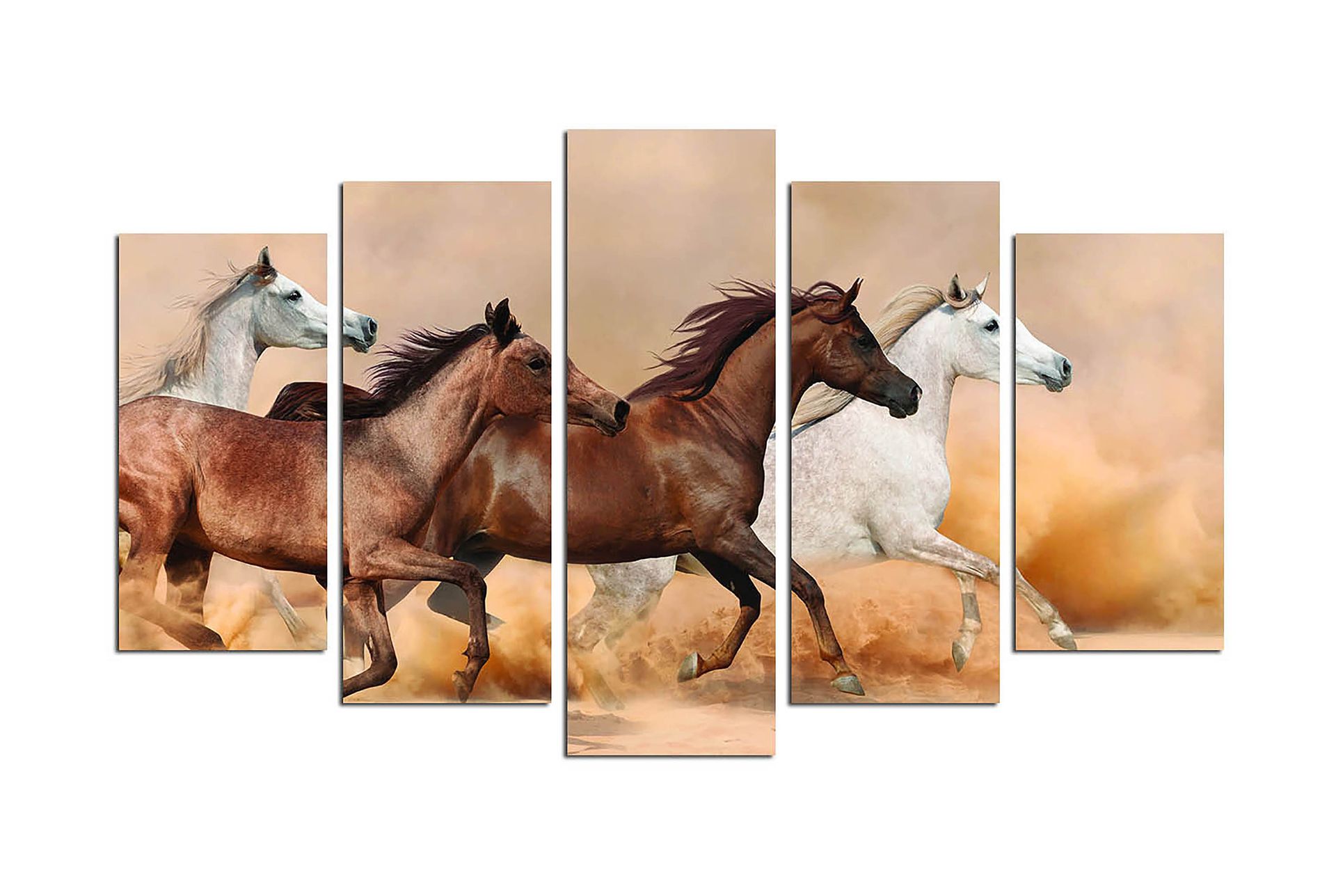 Canvasbilde Animals 5-pk Flerfarget - 22x06 cm - Innredning - Bilder & kunst - Lerretsbilder