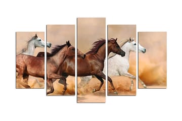 Canvasbilde Animals 5-pk Flerfarget - 22x06 cm - Innredning - Bilder & kunst - Lerretsbilder
